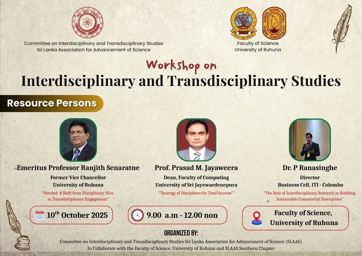 Second Awareness Workshop on IDTD Studies Flyer